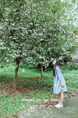 丁香花高清在线观看完整电影
