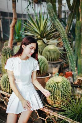 婉莹的十七个农民工内容概括